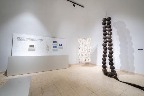 TARİHİ SARNIÇTA ‘SAÇTAN HİKAYELER’