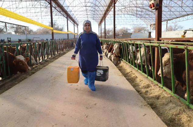 ÖZ SERMAYESİYLE ÇİFTLİK KURDU