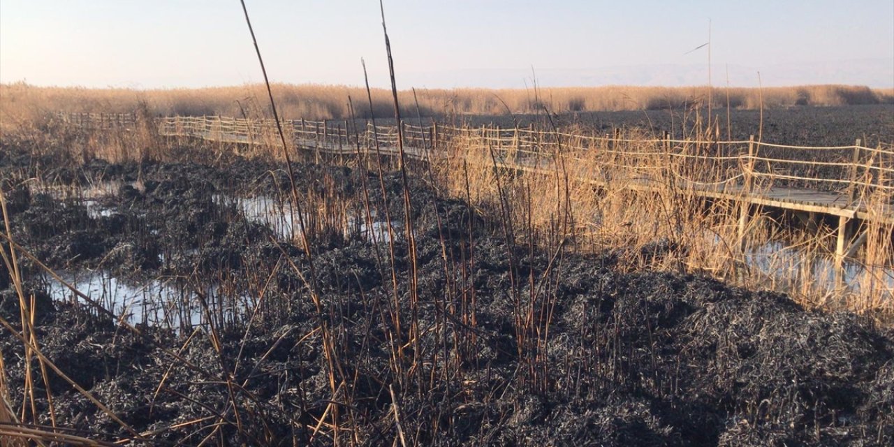 SULTAN SAZLIĞI'NDA YANGIN