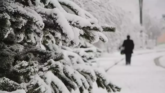 ALTAY KAR FIRTINASI KAPIYA DAYANDI!
