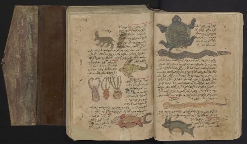 YÜZYILLARDIR ARANAN ÇALIŞMA NEREDE BULUNDU?