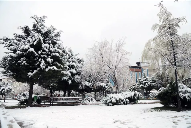 ESKİ BELEDİYE BAŞKANI KAR YAĞIŞINI İZLEMEK İSTERKEN HAYATINI KAYBETTİ