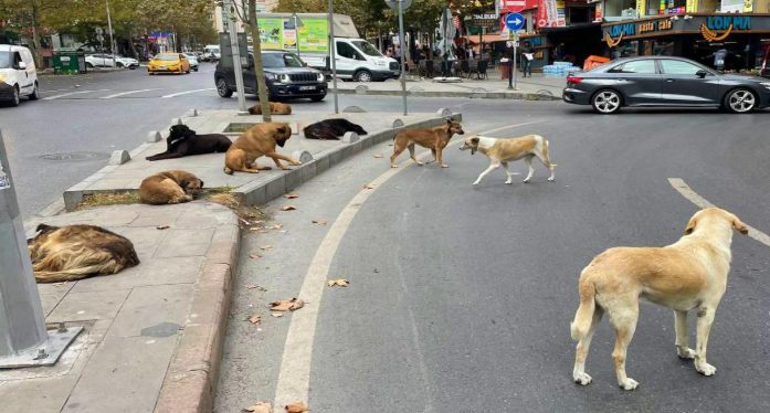 MÜFETTİŞLER 2 AYDA BİR BELEDİYELERİ DENETLEYECEK