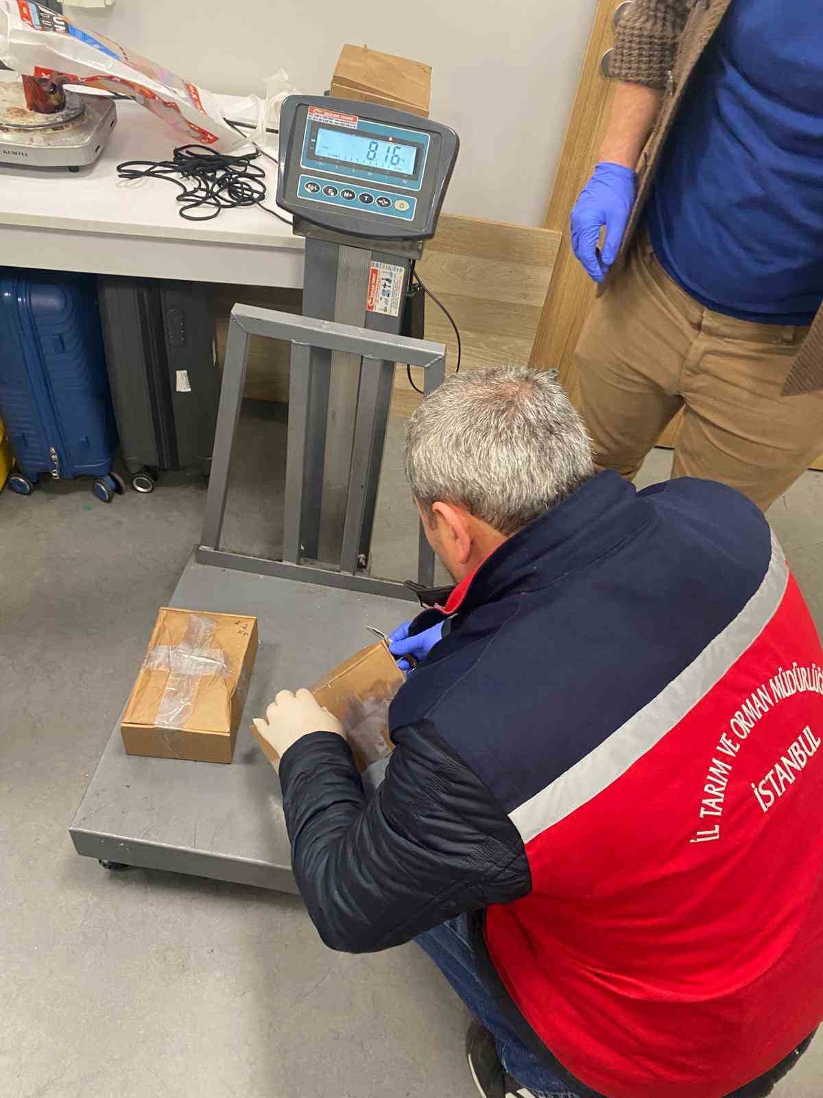 İstanbul Havalimanı’nda kaçak tıbbi sülük operasyonu